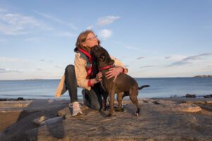 Woman and brown dog on large rock by sea at sunset getting kisses