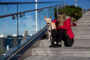 Foster mom with Mixed breed yellow lab dog sitting on harbor steps in Boston
