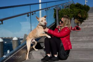 Foster mom with Mixed breed yellow lab dog sitting on harbor steps in Boston with dog up on knees