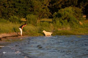 Woman walking down beach watching her dog play in the water