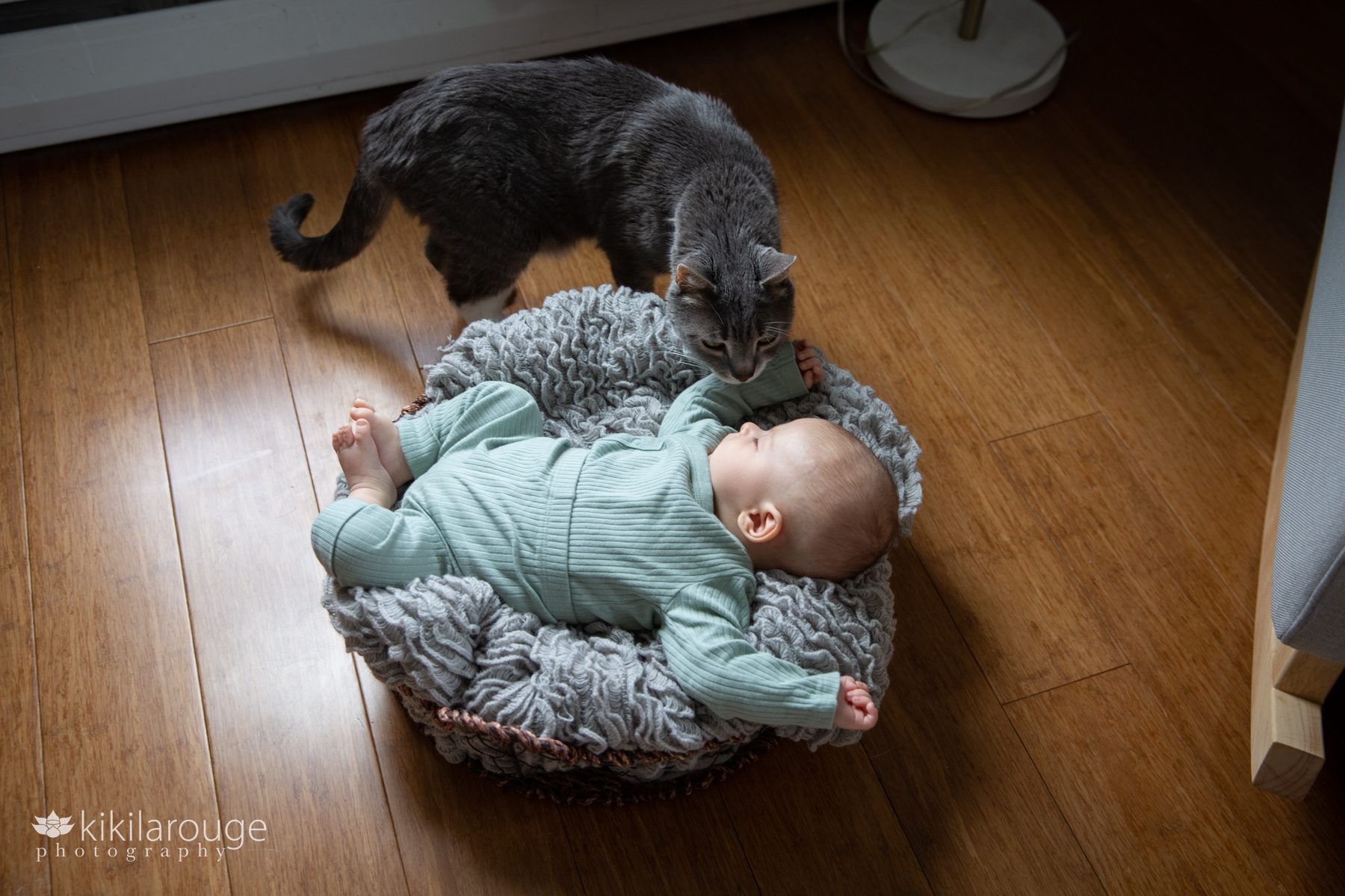 Gray cat checking out sleeping baby in basket on the floor