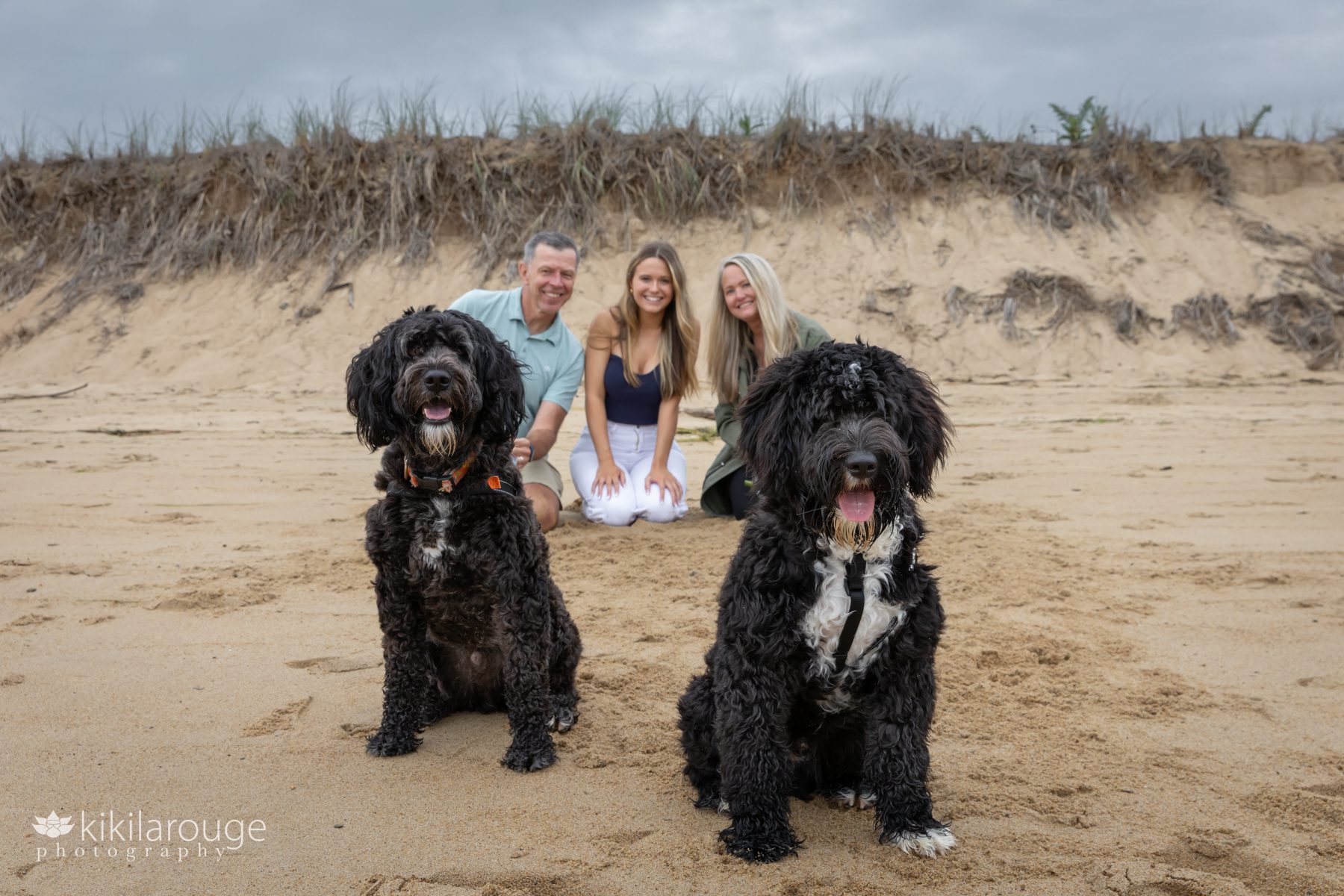Senior girl in white jeans and blue tank top with Mom and Dad and two Portuguese water dogs on Plum Island Beach