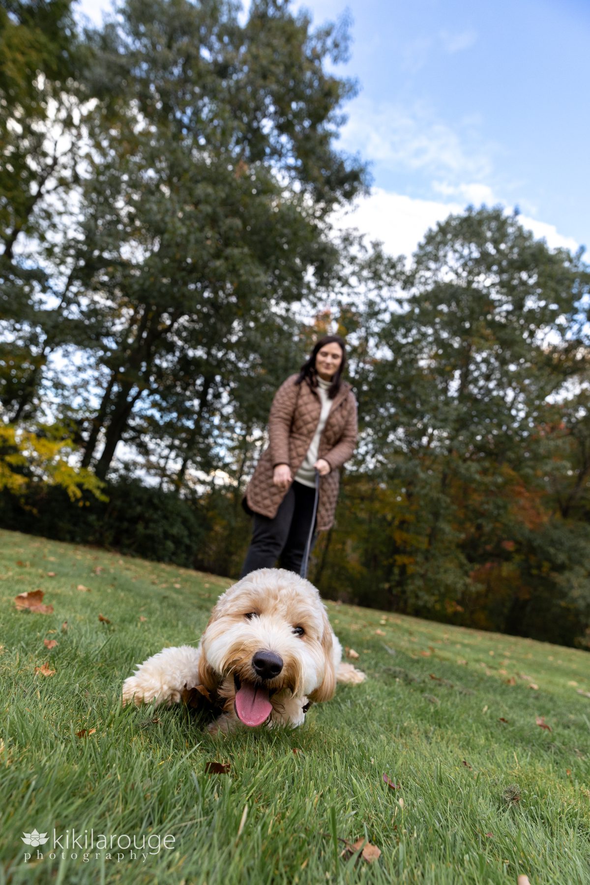 Cute dog on ground in grass with Mom holding leash in background