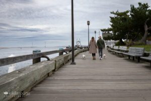 Couple walking down Newburyport Waterfront Boardwalk with their two French Bulldogs at their side