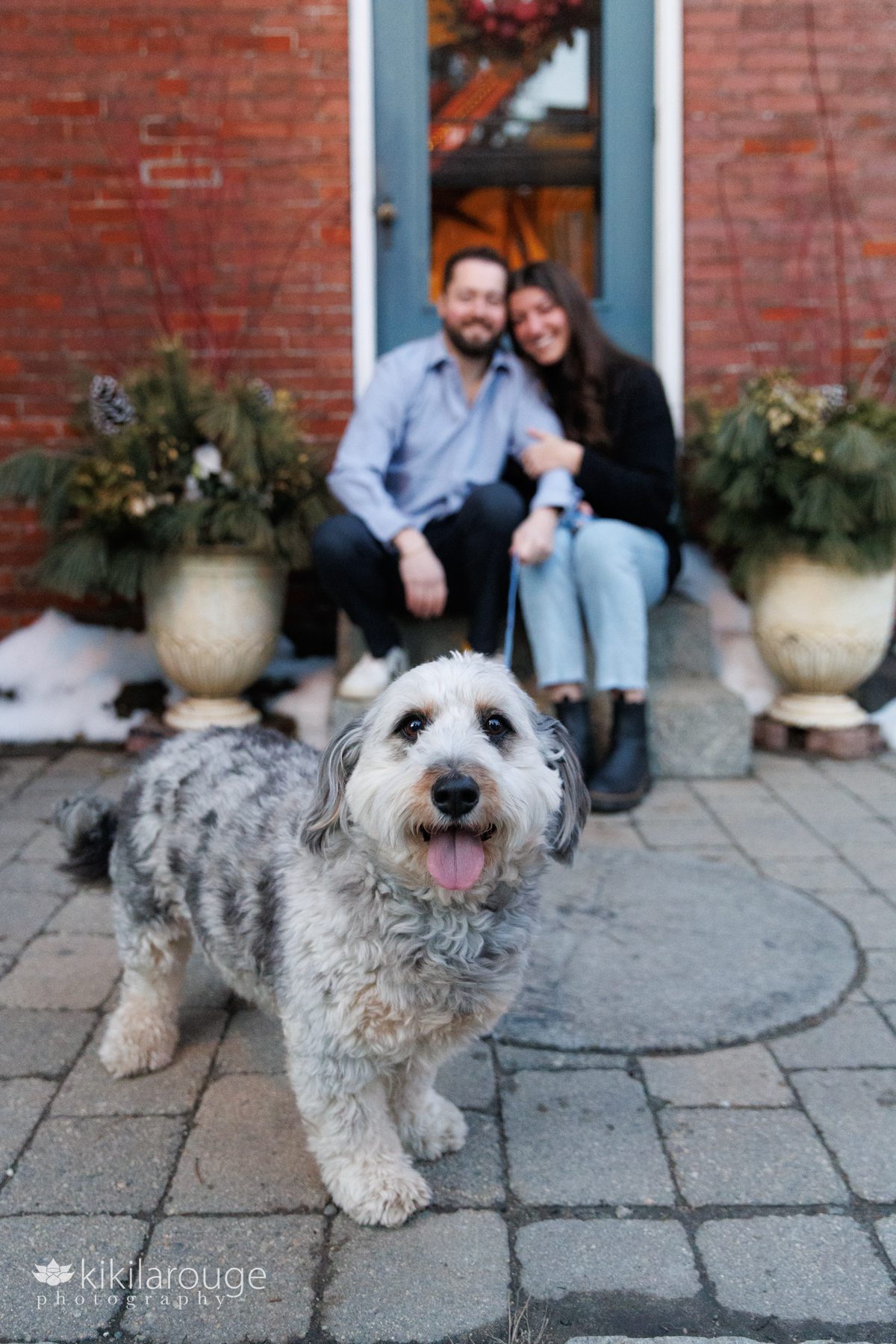 Cute gray and white dog with tongue out and his parents sitting steps of the lighthouse behind him