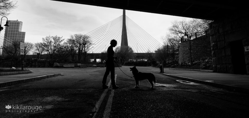 BW silhouette of a woman looking down at her dog in the middle of the road under a bridge with Boston's Zakim Bridge in the backdrop