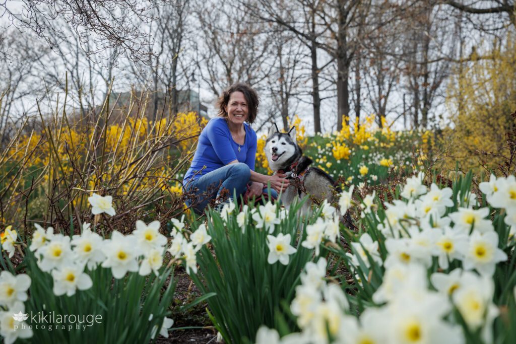 Woman and husky dog in between daffodils and forsythia at Paul Revere Park in Charlestown MA