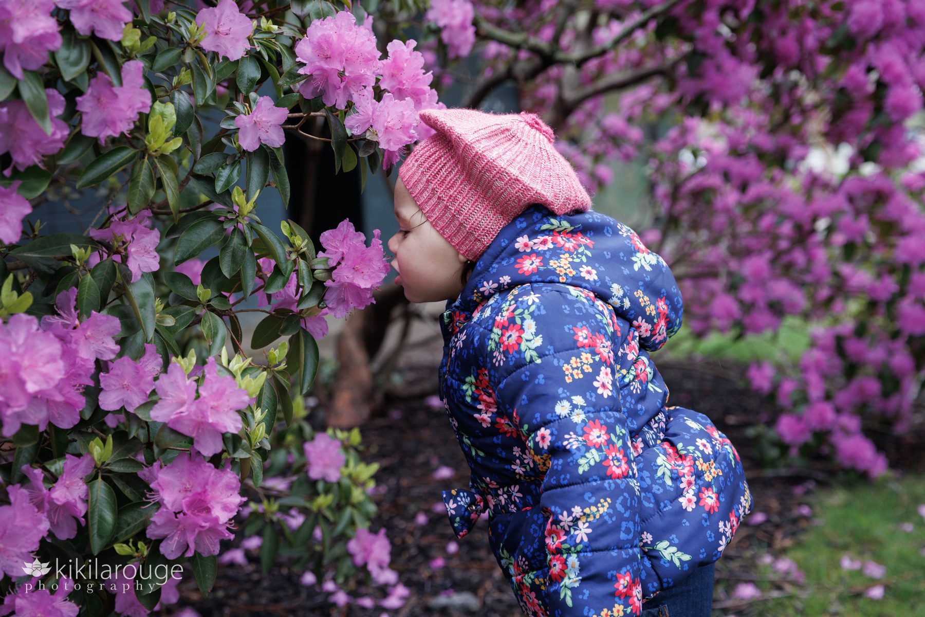 Little girl in pink knit beret with floral puffy jacket leaning into flowers sniffing them