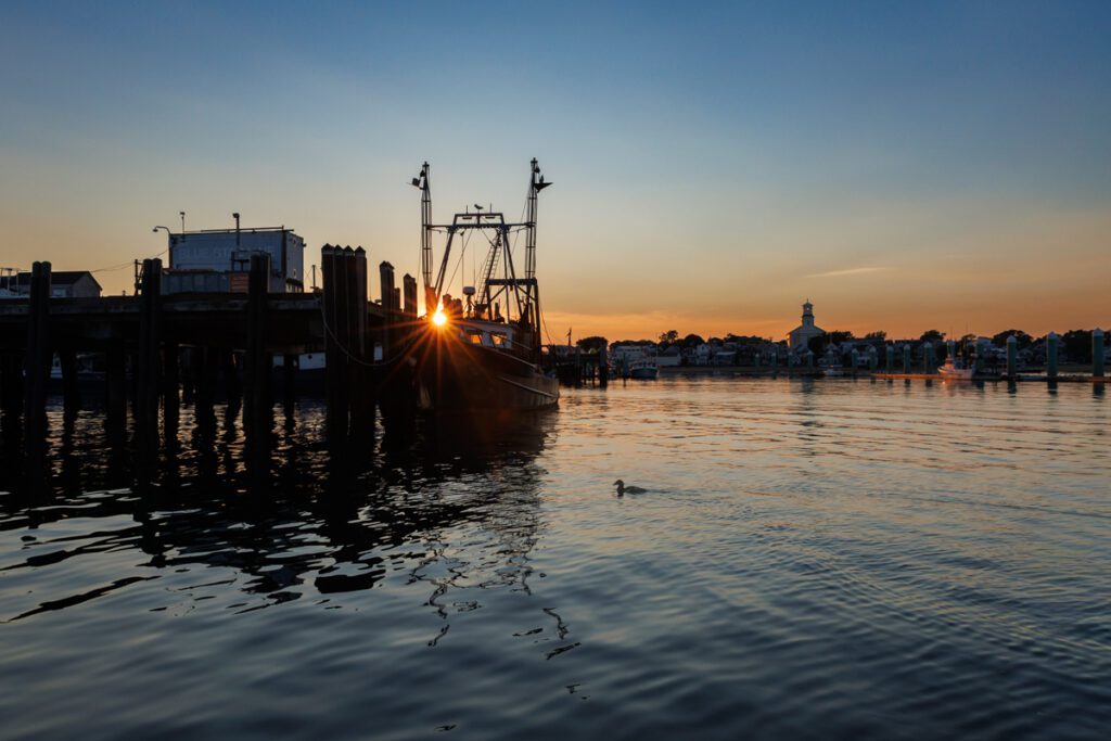 Sunsetting on Provincetown harbor with sun flare and duck swimming in the front ripples 