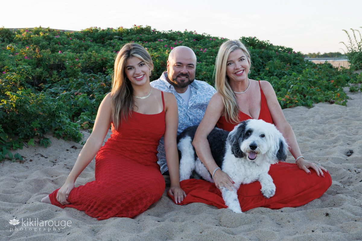 Senior girl in red dress sitting in beach dunes with beach roses in backdrop with her Mom and Dad and black and white doodle dog